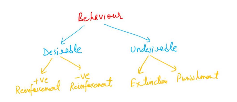 Skinner Learning Theory